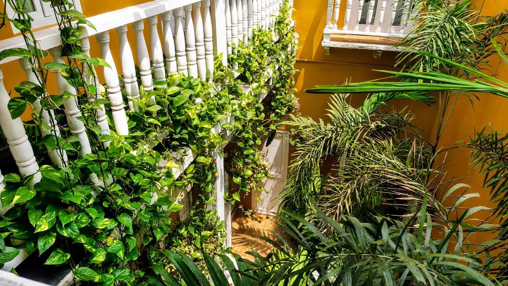 Maloka Boutique Centro Historico (adults Only) Guest house Cartagena