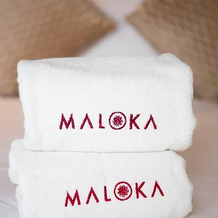 Pensión Maloka Boutique Centro Histórico 2*